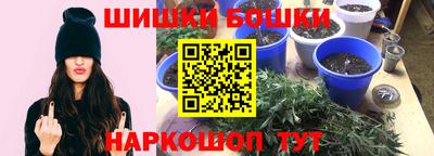 a pvp Можга