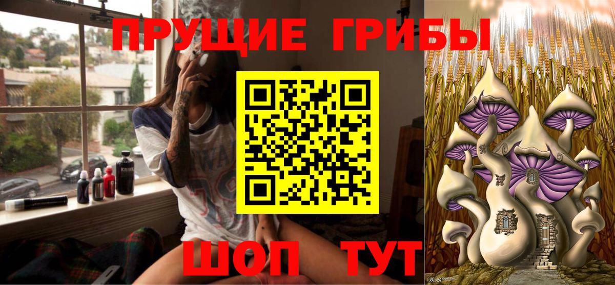 купить наркотик  Галлюциногенные грибы мухоморы  Вязьма  Вход с VPN  Галлюциногенные грибы прущие грибы 